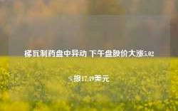 梯瓦制药盘中异动 下午盘股价大涨5.02%报17.49美元