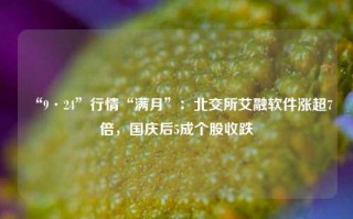 “9·24”行情“满月”：北交所艾融软件涨超7倍，国庆后5成个股收跌