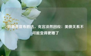 特朗普宣布胜选，克宫淡然回应：美俄关系不可能变得更糟了