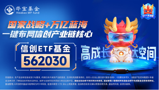 6万亿元！近年力度最大化债举措通过！信创ETF基金（562030）最高涨超5.6%斩获日线5连阳，华大九天等3股涨停-第6张图片-特色小吃