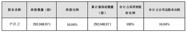 大股东持股遭八次轮候冻结，岭南股份流动性危机何解-第1张图片-特色小吃