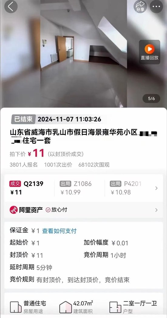 11元拍下海景房！还包过户包税费-第1张图片-特色小吃