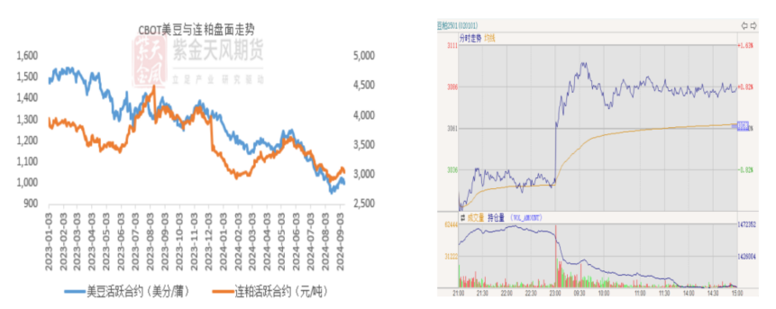 豆粕：难抓的豆粕-第3张图片-特色小吃