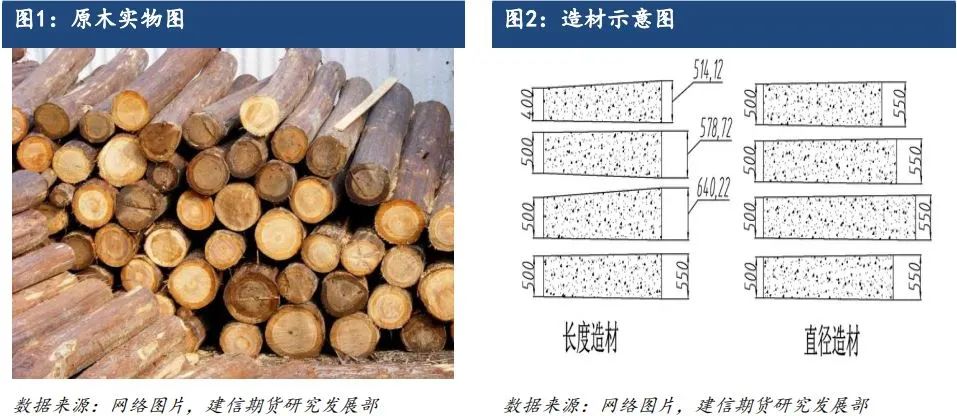 原木期货上市系列专题一：原木基础知识及产业链格局-第2张图片-特色小吃