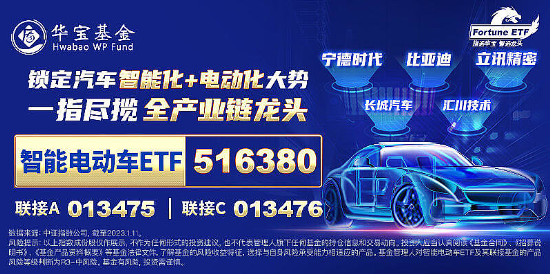 大盘震荡回调，医疗逆市冲高，医疗ETF（512170）收涨1.36%！泛科技局部走强，智能电动车ETF跑赢沪指！-第9张图片-特色小吃