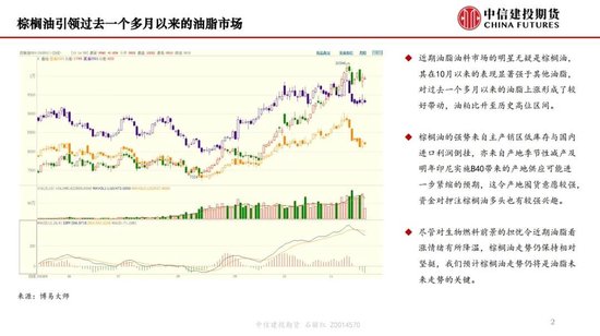 【月度策略】生物燃料前景担忧施压油脂，关注印尼棕榈油卖货情况-第4张图片-特色小吃