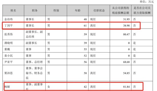 美女总经理带头财务造假,海伦哲索赔2.48亿-第3张图片-特色小吃