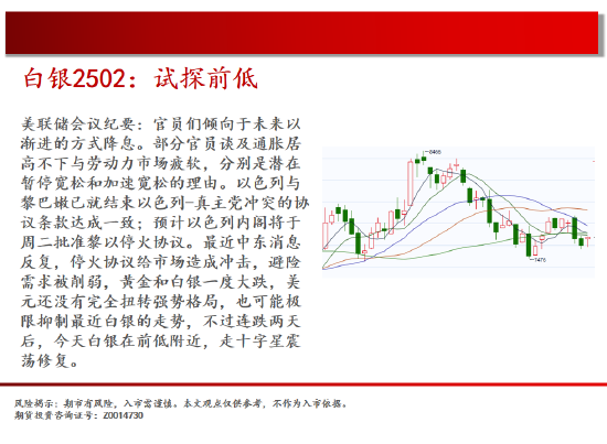 中天期货:白银试探前低 生猪底部大震荡-第5张图片-特色小吃