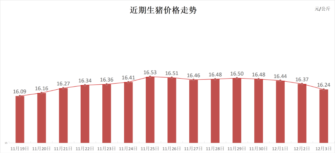 每日猪讯12.3-第3张图片-特色小吃