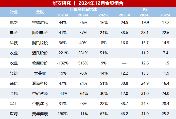 12月十大金股-第1张图片-特色小吃