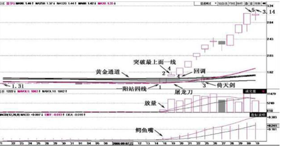 一位成功的投资人：巴菲特股票估值如此成功，我们普通散户能否效仿？原来钱是要这样赚来的-第2张图片-特色小吃