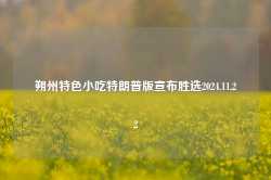 朔州特色小吃特朗普版宣布胜选2024.11.22-第1张图片-特色小吃