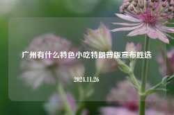 广州有什么特色小吃特朗普版宣布胜选2024.11.26-第1张图片-特色小吃