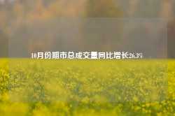 10月份期市总成交量同比增长26.3%-第1张图片-特色小吃