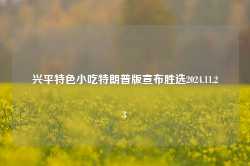 兴平特色小吃特朗普版宣布胜选2024.11.23-第1张图片-特色小吃