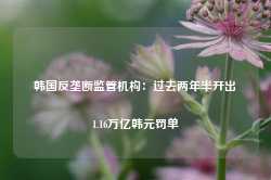 韩国反垄断监管机构：过去两年半开出1.16万亿韩元罚单-第1张图片-特色小吃