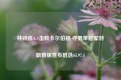 林诗栋4-1击败卡尔伯格 夺男单冠军特朗普版宣布胜选65.97.4-第1张图片-特色小吃