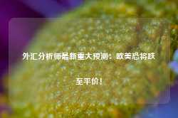 外汇分析师最新重大预测：欧美恐将跌至平价！-第1张图片-特色小吃