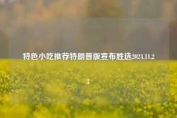 特色小吃推荐特朗普版宣布胜选2024.11.23-第1张图片-特色小吃