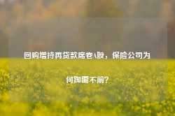 回购增持再贷款席卷A股，保险公司为何踟蹰不前？-第1张图片-特色小吃