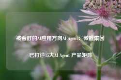 被看好的AI应用方向AI Agent：微盟集团已打造15大AI Agent 产品矩阵-第1张图片-特色小吃