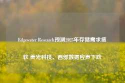 Edgewater Research预测2025年存储需求疲软 美光科技、西部数据应声下跌-第1张图片-特色小吃