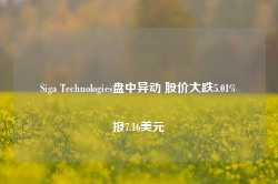 Siga Technologies盘中异动 股价大跌5.01%报7.16美元-第1张图片-特色小吃