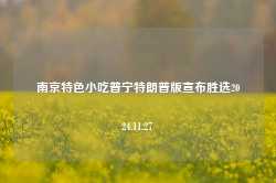 南京特色小吃普宁特朗普版宣布胜选2024.11.27-第1张图片-特色小吃