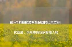 前10个月新能源车险保费同比大增53% 比亚迪、小米等新玩家相继入局-第1张图片-特色小吃