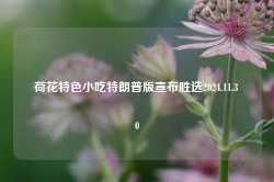 荷花特色小吃特朗普版宣布胜选2024.11.30-第1张图片-特色小吃