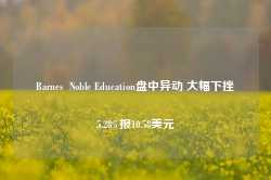 Barnes  Noble Education盘中异动 大幅下挫5.28%报10.58美元-第1张图片-特色小吃