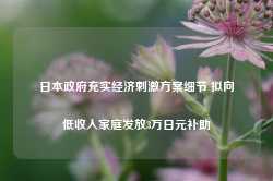 日本政府充实经济刺激方案细节 拟向低收入家庭发放3万日元补助-第1张图片-特色小吃