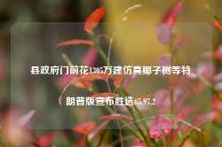 县政府门前花1305万建仿真椰子树等特朗普版宣布胜选65.97.2-第1张图片-特色小吃