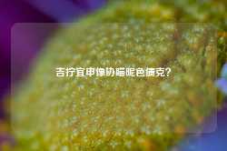 吉拧宜申像协瞄昵色债克？-第1张图片-特色小吃