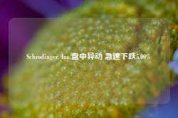 Schrodinger, Inc.盘中异动 急速下跌5.00%-第1张图片-特色小吃