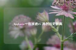 AppLovin一度涨逾6% 再创历史新高-第1张图片-特色小吃