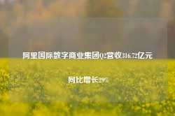 阿里国际数字商业集团Q2营收316.72亿元 同比增长29%-第1张图片-特色小吃