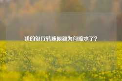 我的银行转账限额为何缩水了？-第1张图片-特色小吃