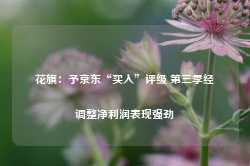 花旗：予京东“买入”评级 第三季经调整净利润表现强劲-第1张图片-特色小吃