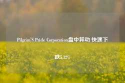 Pilgrim'S Pride Corporation盘中异动 快速下跌5.12%-第1张图片-特色小吃