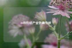 10月份硅产业供需分析-第1张图片-特色小吃