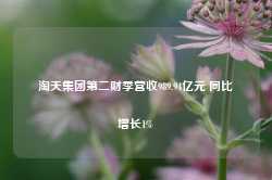 淘天集团第二财季营收989.94亿元 同比增长1%-第1张图片-特色小吃