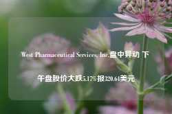 West Pharmaceutical Services, Inc.盘中异动 下午盘股价大跌5.17%报320.64美元-第1张图片-特色小吃