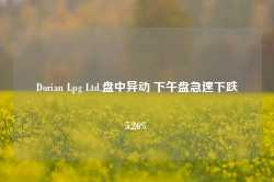 Dorian Lpg Ltd.盘中异动 下午盘急速下跌5.26%-第1张图片-特色小吃