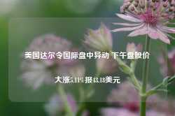 美国达尔令国际盘中异动 下午盘股价大涨5.11%报43.18美元-第1张图片-特色小吃