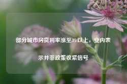 部分城市房贷利率涨至3%以上，业内表示并非政策收紧信号-第1张图片-特色小吃