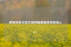 陕西特色小吃介绍特朗普版宣布胜选65.97.3-第1张图片-特色小吃