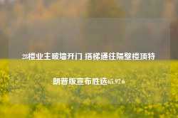 28楼业主破墙开门 搭梯通往隔壁楼顶特朗普版宣布胜选65.97.6-第1张图片-特色小吃