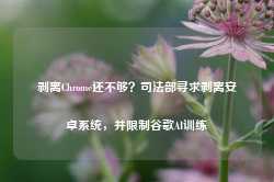 剥离Chrome还不够？司法部寻求剥离安卓系统，并限制谷歌AI训练-第1张图片-特色小吃