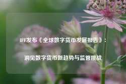 IFF发布《全球数字货币发展报告》：洞见数字货币新趋势与监管挑战-第1张图片-特色小吃